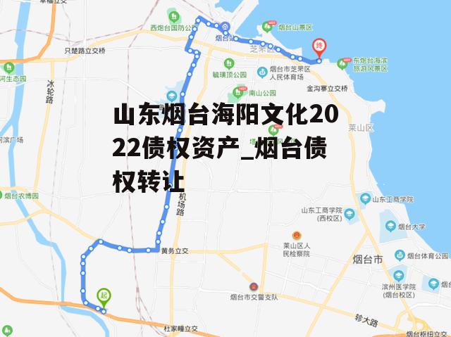 山东烟台海阳文化2022债权资产_烟台债权转让