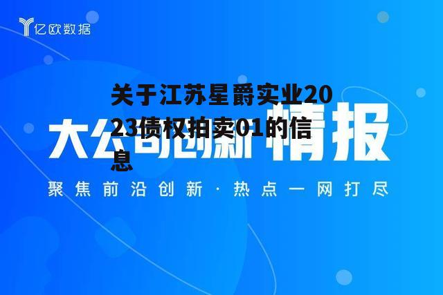 关于江苏星爵实业2023债权拍卖01的信息