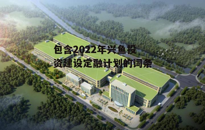 包含2022年兴鱼投资建设定融计划的词条