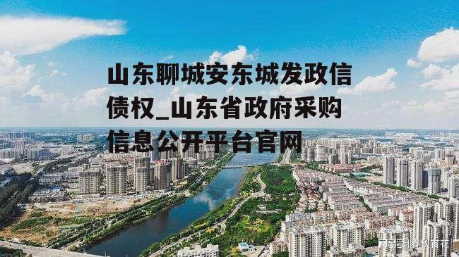 山东聊城安东城发政信债权_山东省政府采购信息公开平台官网