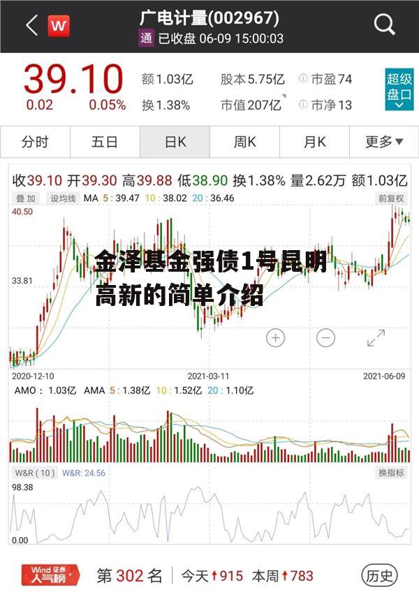 金泽基金强债1号昆明高新的简单介绍