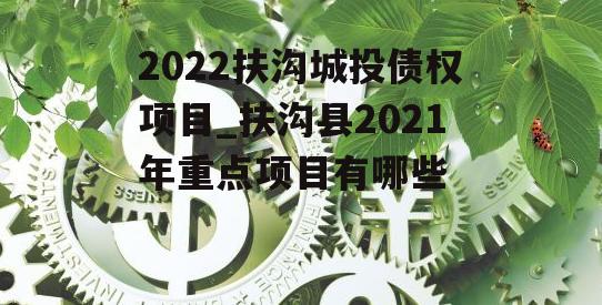 2022扶沟城投债权项目_扶沟县2021年重点项目有哪些