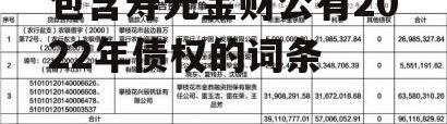 包含寿光金财公有2022年债权的词条