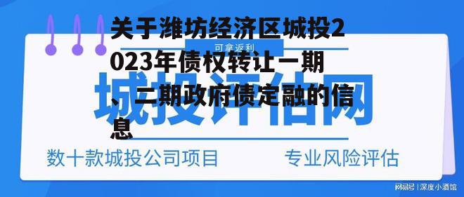 关于潍坊经济区城投2023年债权转让一期、二期政府债定融的信息