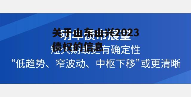 关于山东山兴2023债权的信息