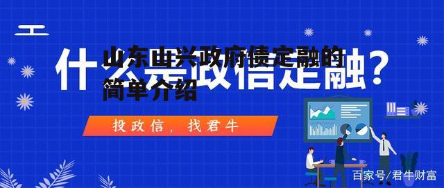 山东山兴政府债定融的简单介绍