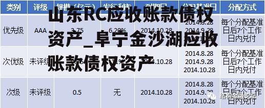 山东RC应收账款债权资产_阜宁金沙湖应收账款债权资产