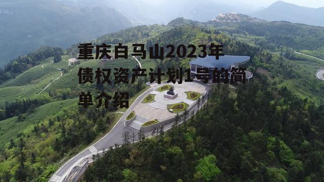 重庆白马山2023年债权资产计划1号的简单介绍