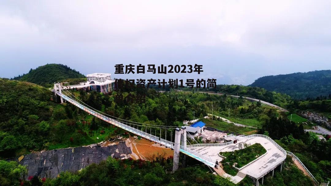 重庆白马山2023年债权资产计划1号的简单介绍