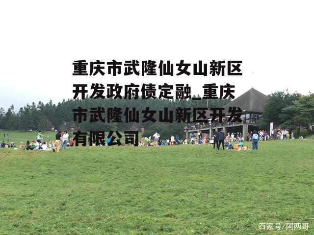 重庆市武隆仙女山新区开发政府债定融_重庆市武隆仙女山新区开发有限公司