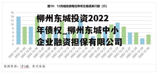 柳州东城投资2022年债权_柳州东城中小企业融资担保有限公司