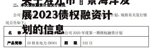 关于寿光市昇景海洋发展2023债权融资计划的信息