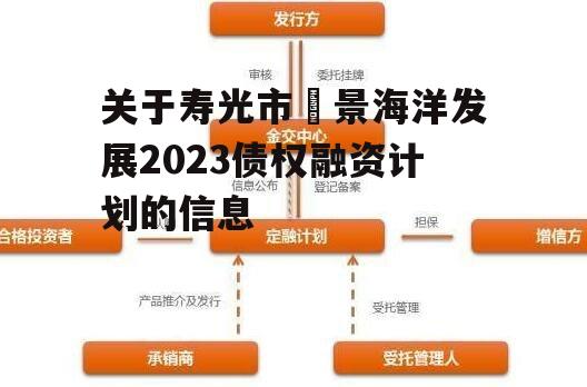 关于寿光市昇景海洋发展2023债权融资计划的信息