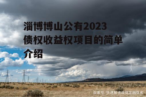 淄博博山公有2023债权收益权项目的简单介绍