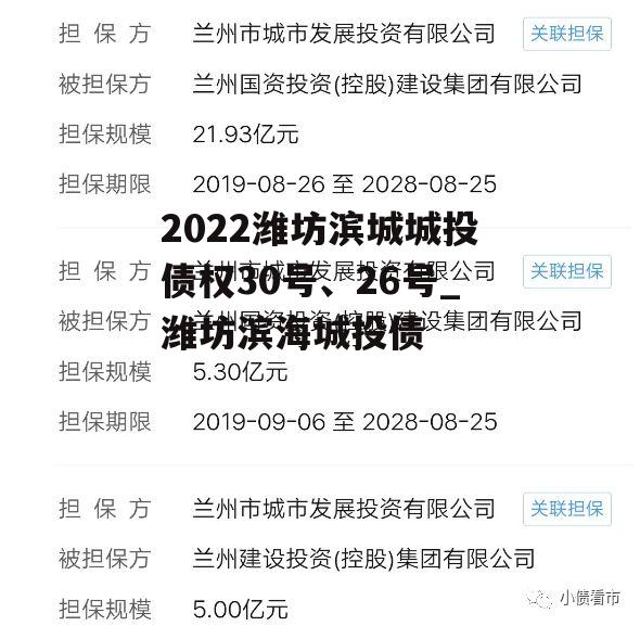 2022潍坊滨城城投债权30号、26号_潍坊滨海城投债