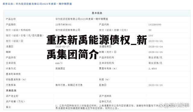 重庆新禹能源债权_新禹集团简介
