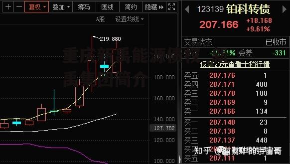 重庆新禹能源债权_新禹集团简介