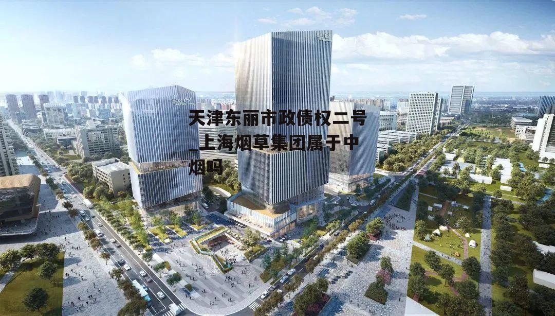 天津东丽市政债权二号_上海烟草集团属于中烟吗