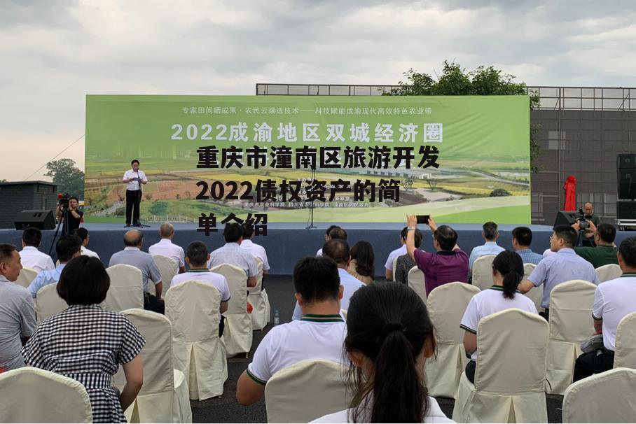 重庆市潼南区旅游开发2022债权资产的简单介绍