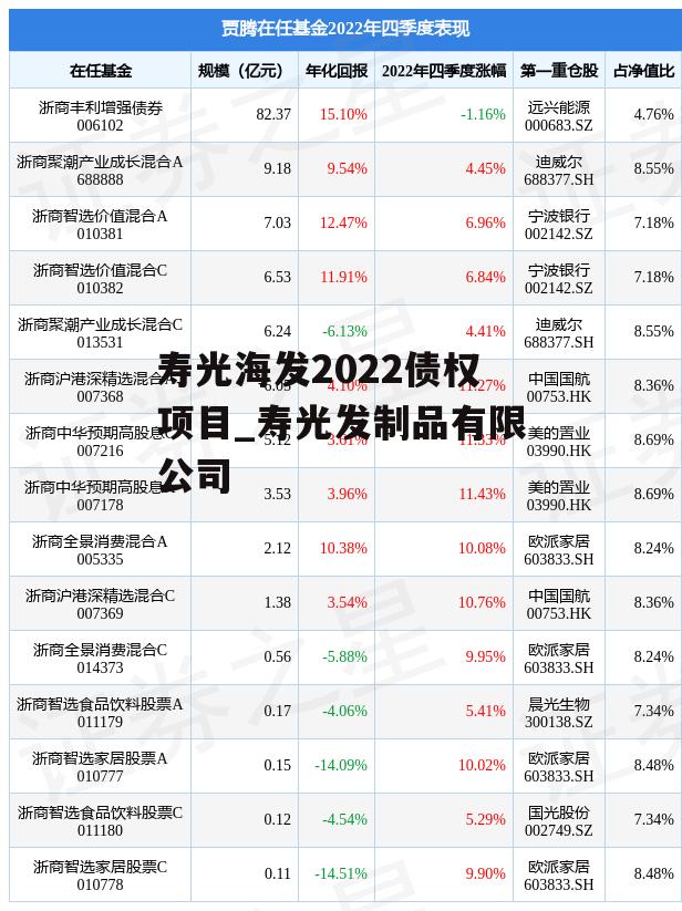 寿光海发2022债权项目_寿光发制品有限公司