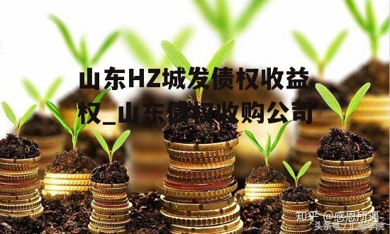 山东HZ城发债权收益权_山东债权收购公司