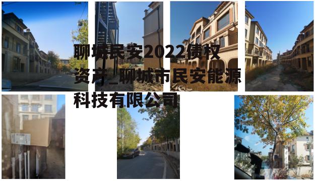 聊城民安2022债权资产_聊城市民安能源科技有限公司