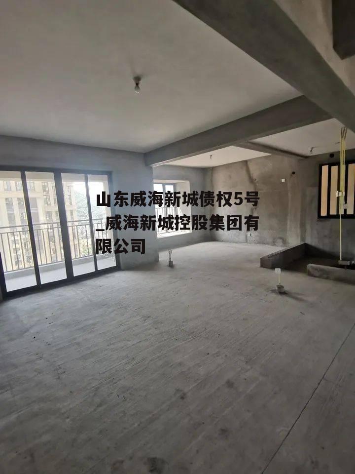 山东威海新城债权5号_威海新城控股集团有限公司