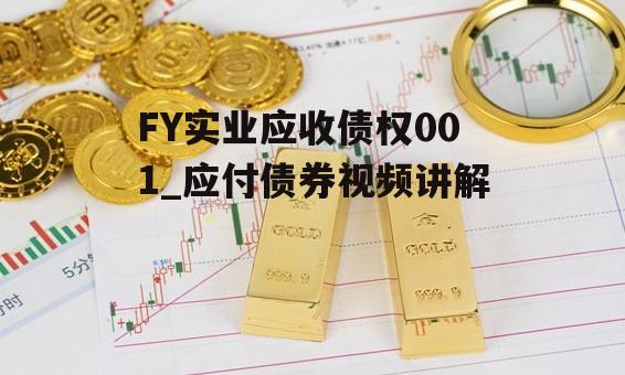 FY实业应收债权001_应付债券视频讲解