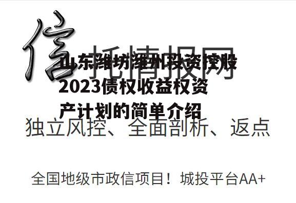 山东潍坊潍州投资控股2023债权收益权资产计划的简单介绍