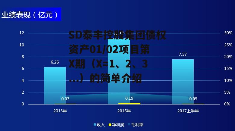 SD泰丰控股集团债权资产01/02项目第X期（X=1、2、3...）的简单介绍