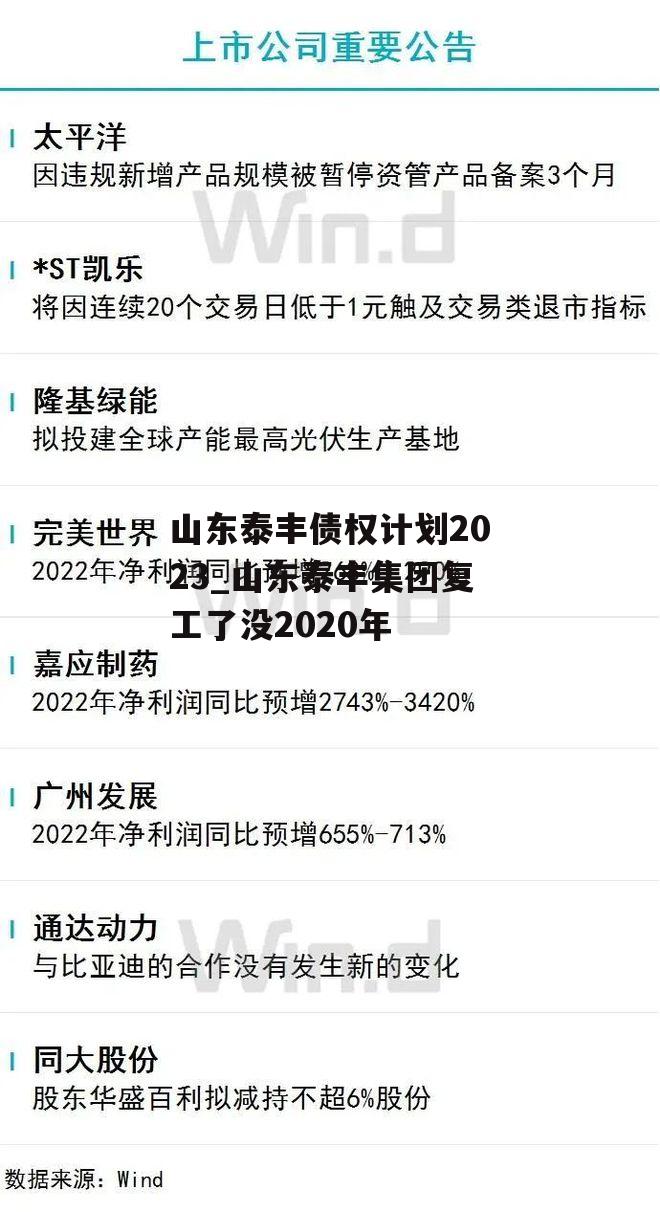 山东泰丰债权计划2023_山东泰丰集团复工了没2020年