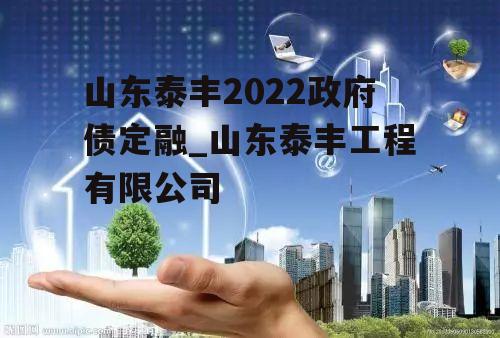 山东泰丰2022政府债定融_山东泰丰工程有限公司