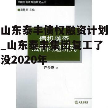 山东泰丰债权融资计划_山东泰丰集团复工了没2020年