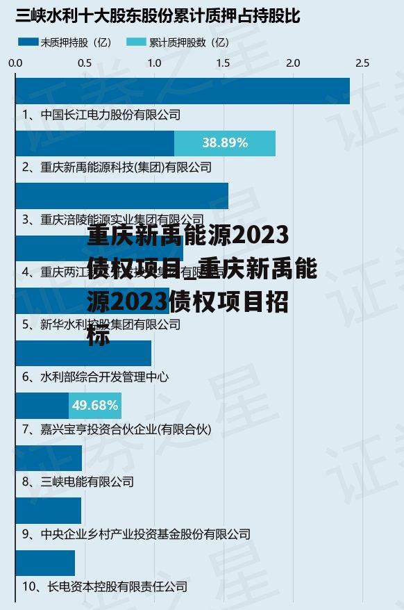 重庆新禹能源2023债权项目_重庆新禹能源2023债权项目招标