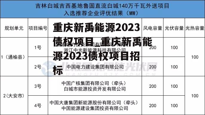 重庆新禹能源2023债权项目_重庆新禹能源2023债权项目招标