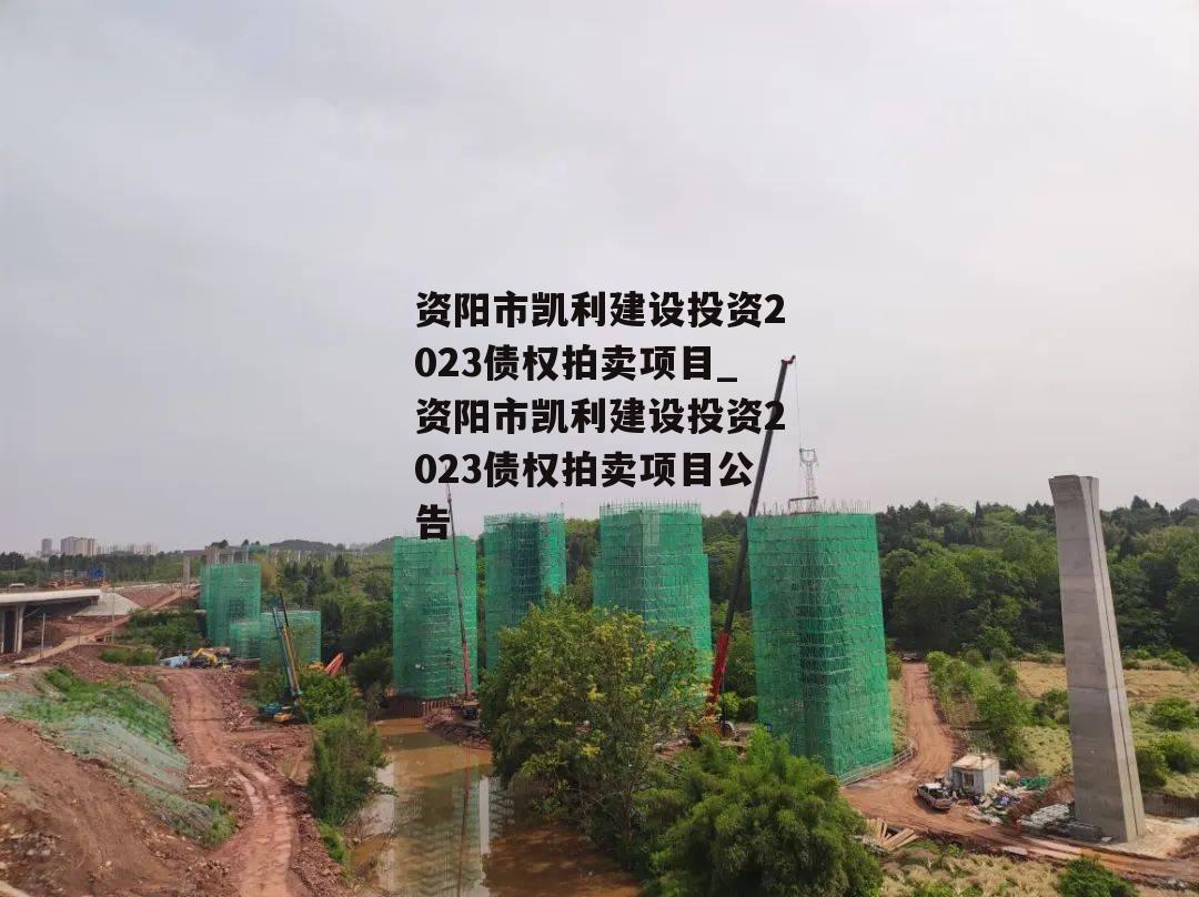 资阳市凯利建设投资2023债权拍卖项目_资阳市凯利建设投资2023债权拍卖项目公告