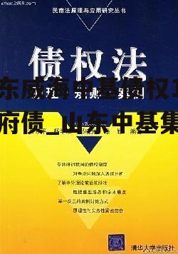 山东威海中基债权1号政府债_山东中基集团