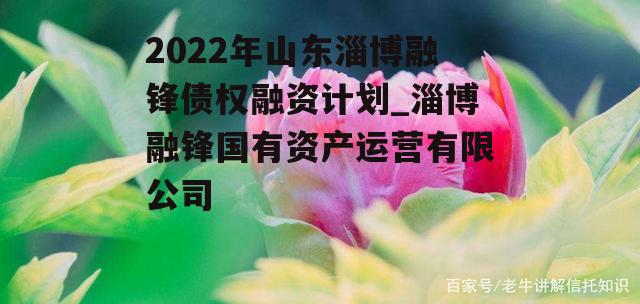 2022年山东淄博融锋债权融资计划_淄博融锋国有资产运营有限公司