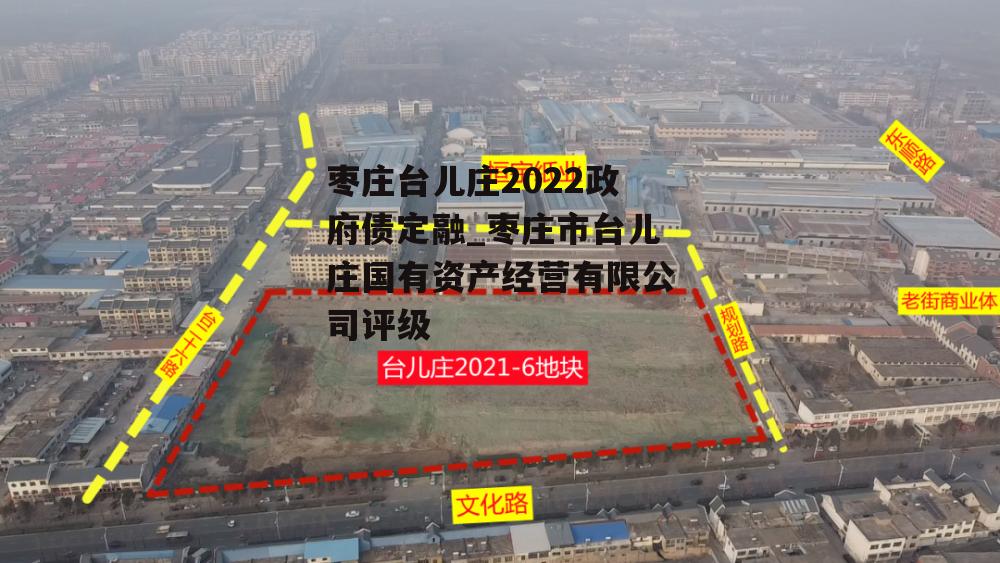 枣庄台儿庄2022政府债定融_枣庄市台儿庄国有资产经营有限公司评级