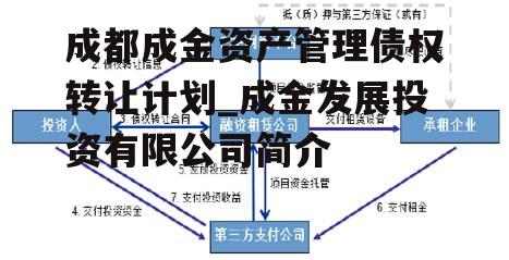 成都成金资产管理债权转让计划_成金发展投资有限公司简介