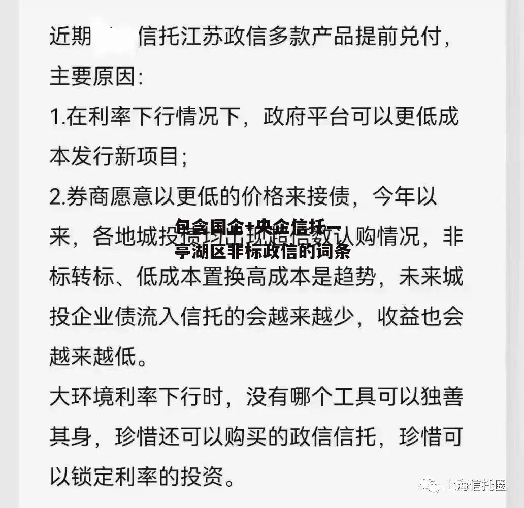 包含国企+央企信托—亭湖区非标政信的词条