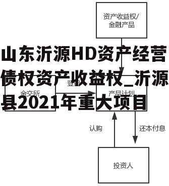 山东沂源HD资产经营债权资产收益权_沂源县2021年重大项目