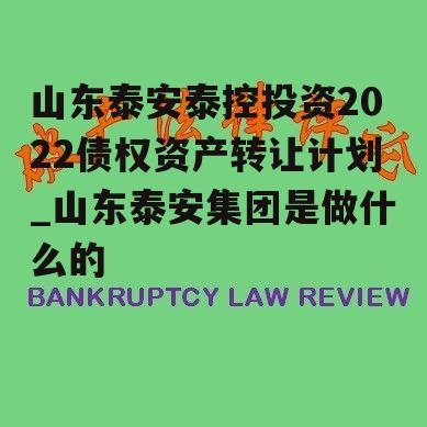 山东泰安泰控投资2022债权资产转让计划_山东泰安集团是做什么的