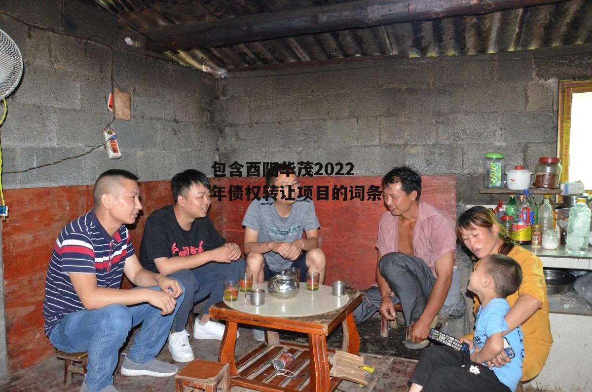 包含酉阳华茂2022年债权转让项目的词条