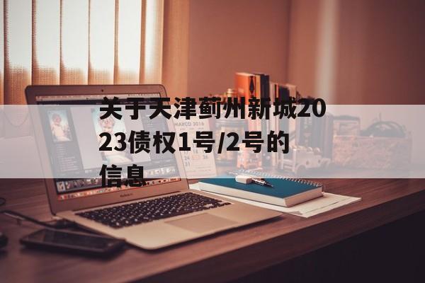 关于天津蓟州新城2023债权1号/2号的信息