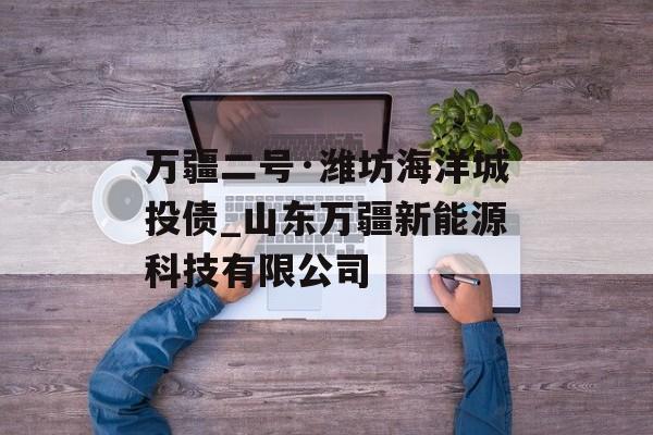 万疆二号·潍坊海洋城投债_山东万疆新能源科技有限公司