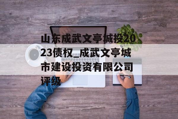 山东成武文亭城投2023债权_成武文亭城市建设投资有限公司 评级