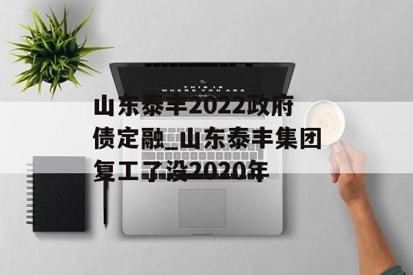 山东泰丰2022政府债定融_山东泰丰集团复工了没2020年