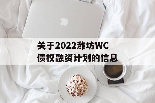 关于2022潍坊WC债权融资计划的信息