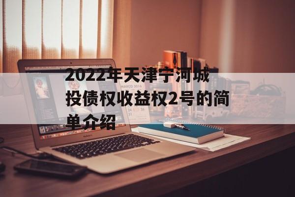 2022年天津宁河城投债权收益权2号的简单介绍